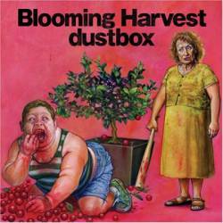 Blooming Harvest